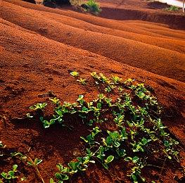 《杀戮空间3》宣布3月25日发售 游戏预购已开启