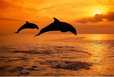 《地狱突围》Steam抢先体验开启 肉鸽竞技FPS